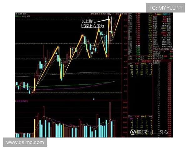 广州羽毛球队与重庆羽毛球队赛后复盘分析比赛节奏与战术对比